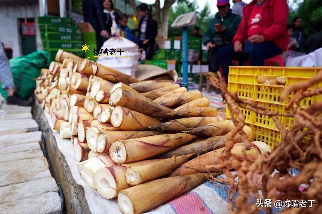 春笋几月份能买到,春笋应该买哪一种