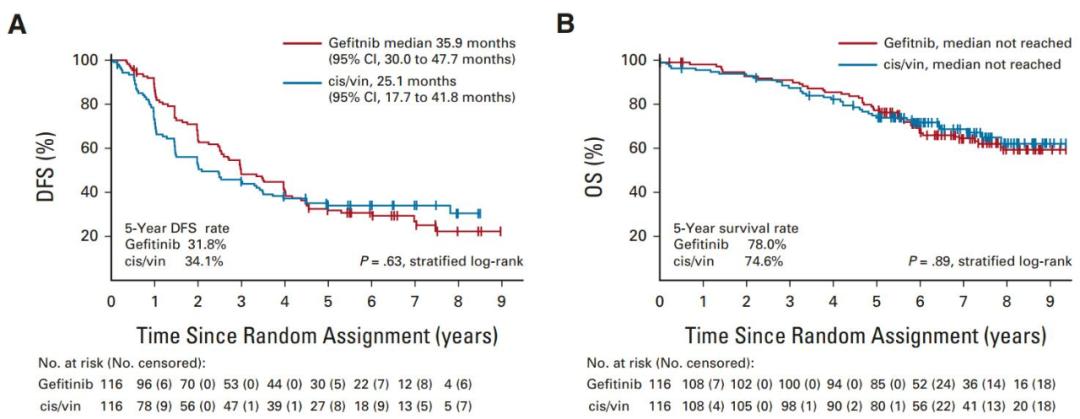 凯美纳是化疗药吗,凯美纳治疗肺腺癌