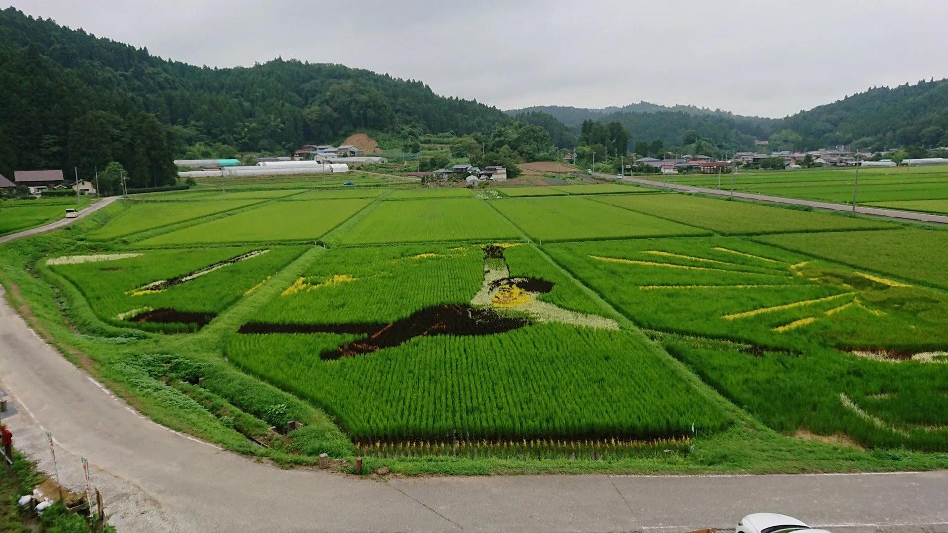 羽生结弦cww特别篇,羽生结弦nhk采访