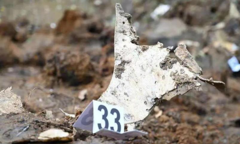 东航mu5735坠机事故遇难者简介,东航mu5735坠机事故有多少人遇难