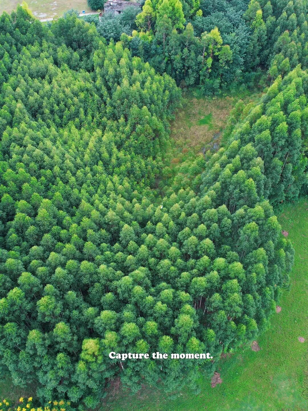 放假去哪里玩又便宜又好玩成都,假期去哪玩便宜又好玩儿成都