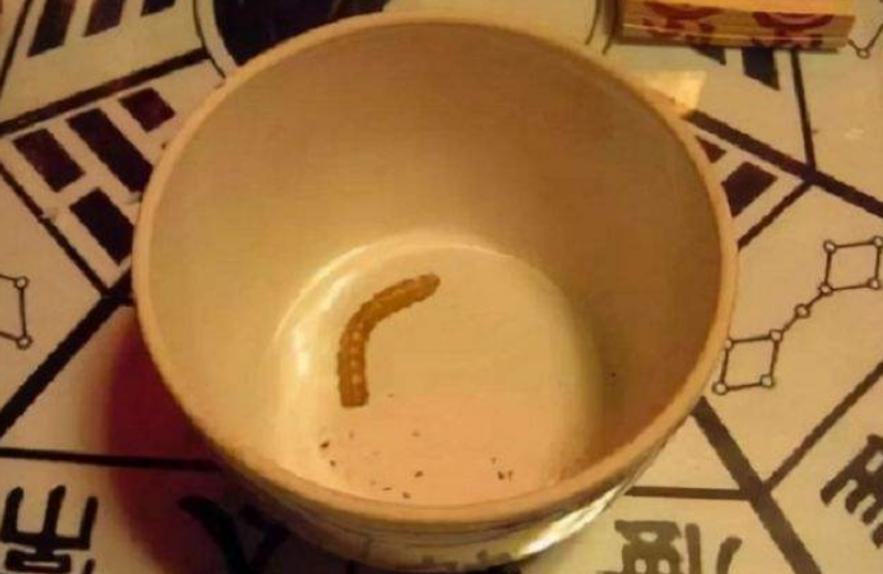 解密苗族蛊毒,揭秘苗族蛊术真相