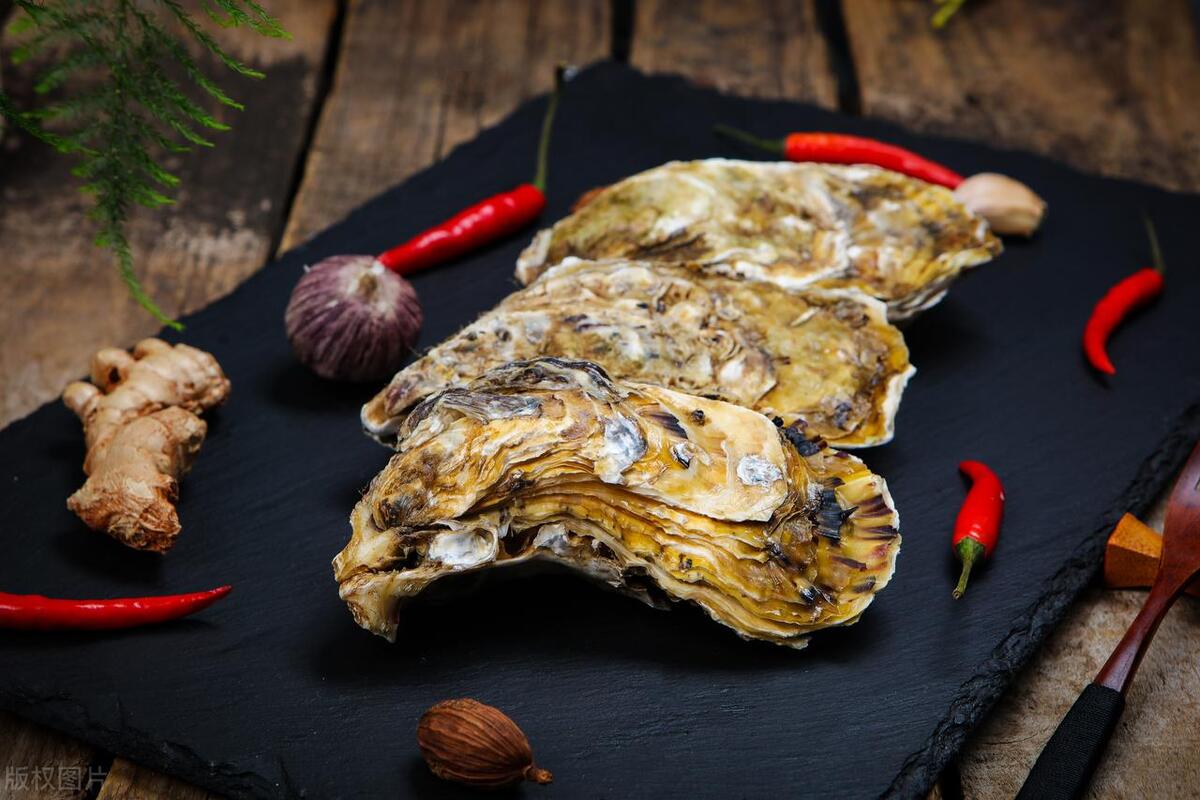 为什么中国生蚝没外国贵,正宗美国生蚝多少钱一斤