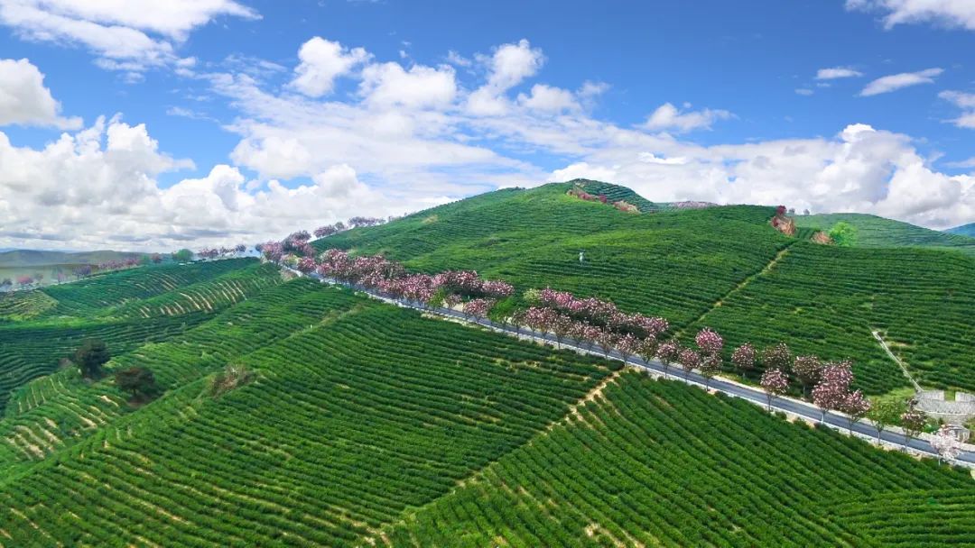 贵州黔南惠水风景,贵州惠水美景视频