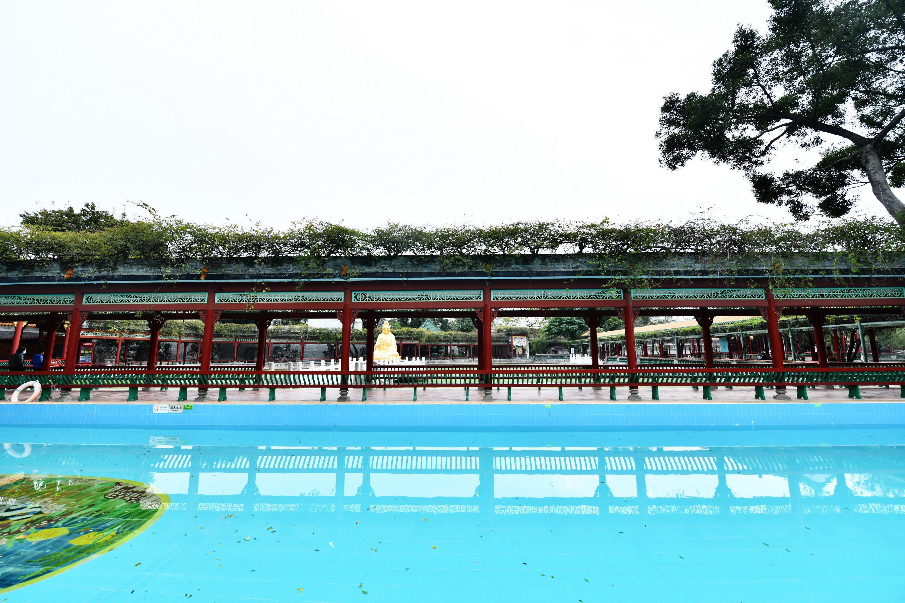 广州市番禺区宝墨园攻略,广州宝墨园景观