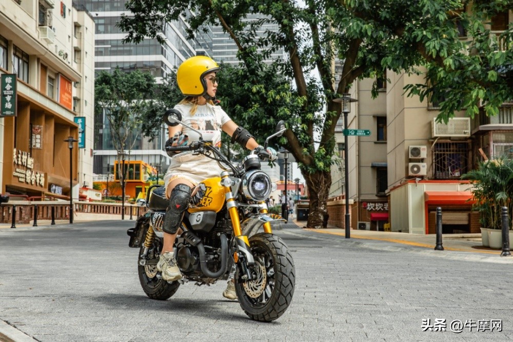 银钢150和蜜獾怎么选,平头哥蜜獾的战斗力有多强