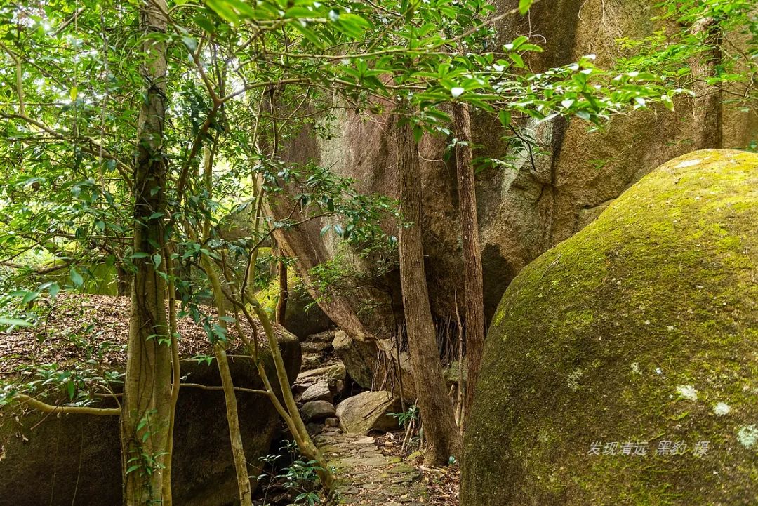 云髻山自然风景区,云髻山的风景