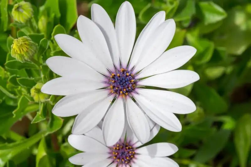 宾得新款16-50评测,宾得镜头18-135样片测评