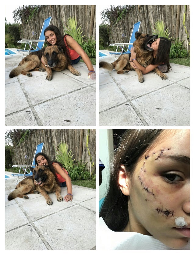 31张活久见的有趣图片,鳄鱼电鳗同归于尽渔翁得利