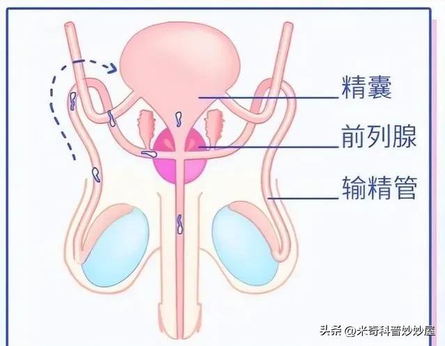 体力劳动能增强体质吗,体力劳动能提高身体素质吗