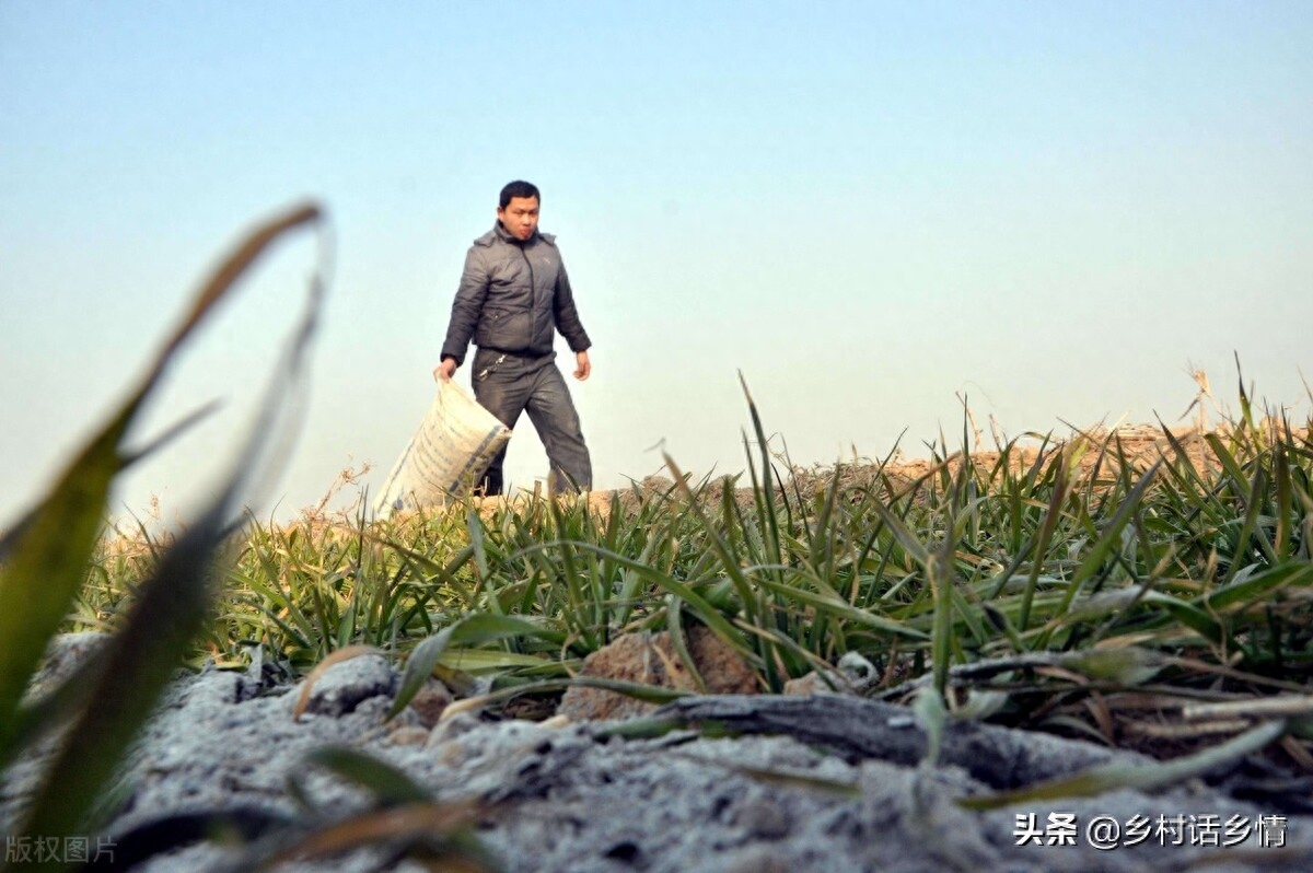 蔬菜有虫子不用打药怎么治,蔬菜生虫子怎么消灭