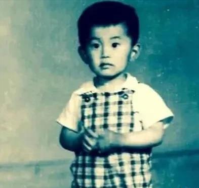 毛宁现在有多少钱,毛宁最近还有演出吗