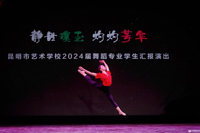 灼灼璞玉静世芳华的解释,与灼灼璞玉静世芳华相似的句子