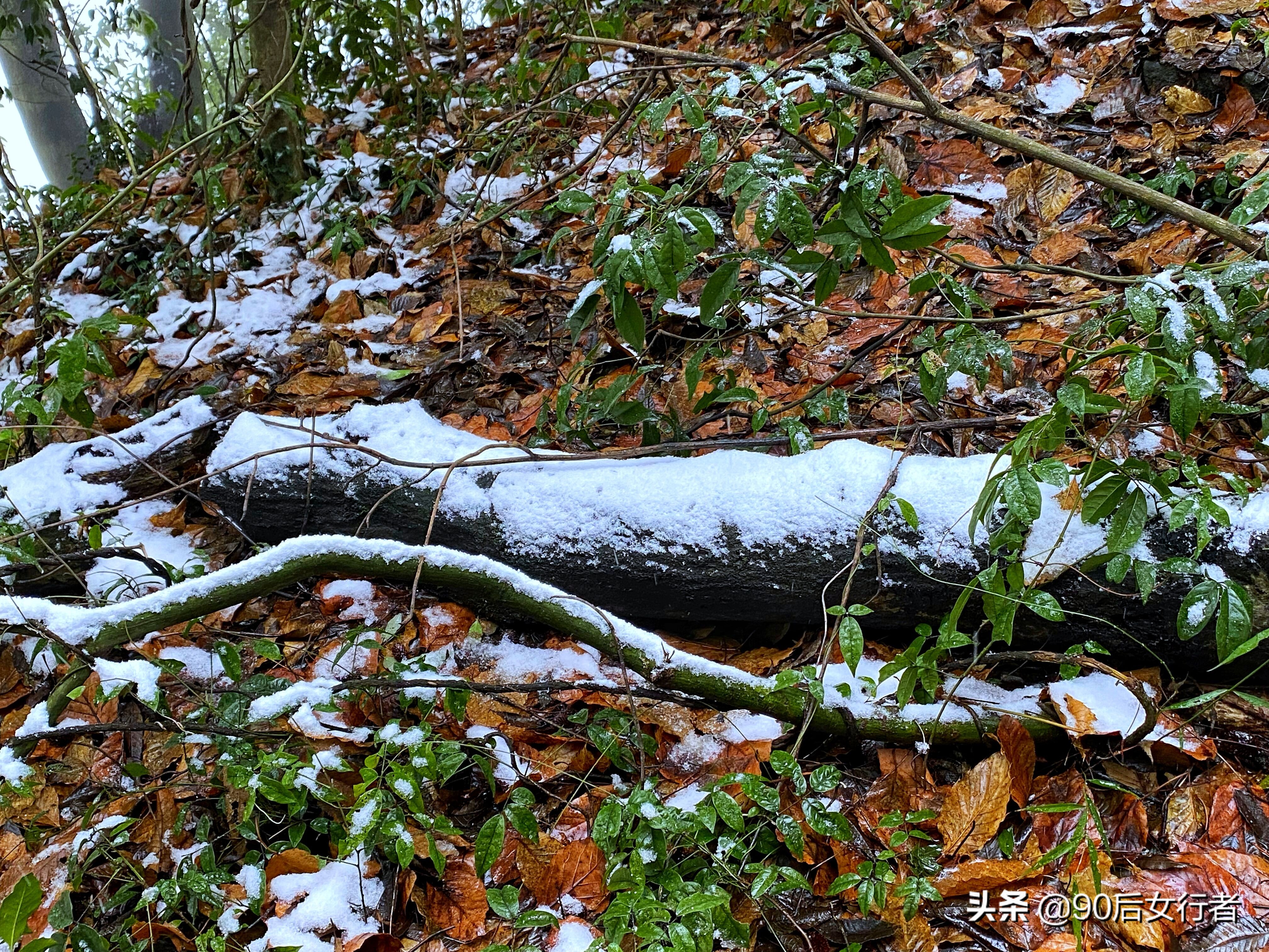下雨天去拜访师傅合适吗,雨天去青城山