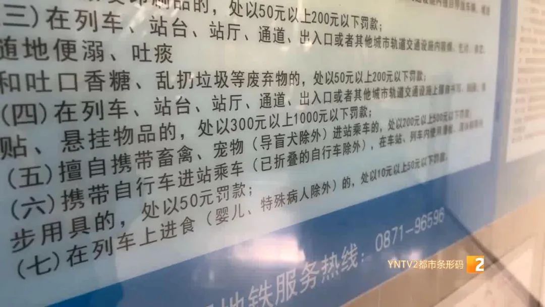仓鼠坐地铁被发现,突然碰到仓鼠仓鼠被吓了一跳