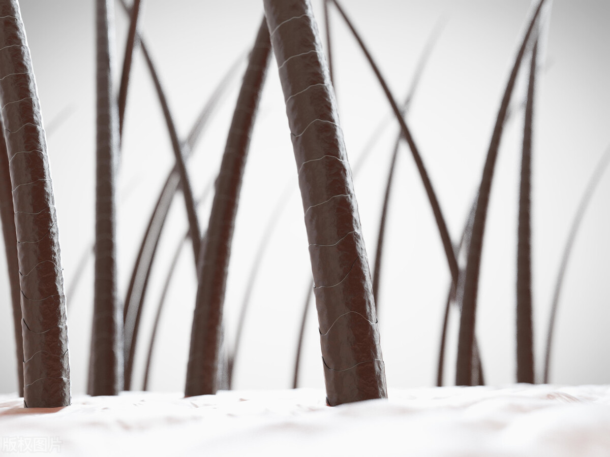 是什么导致毛发旺盛的,为什么身上的毛发比较旺盛