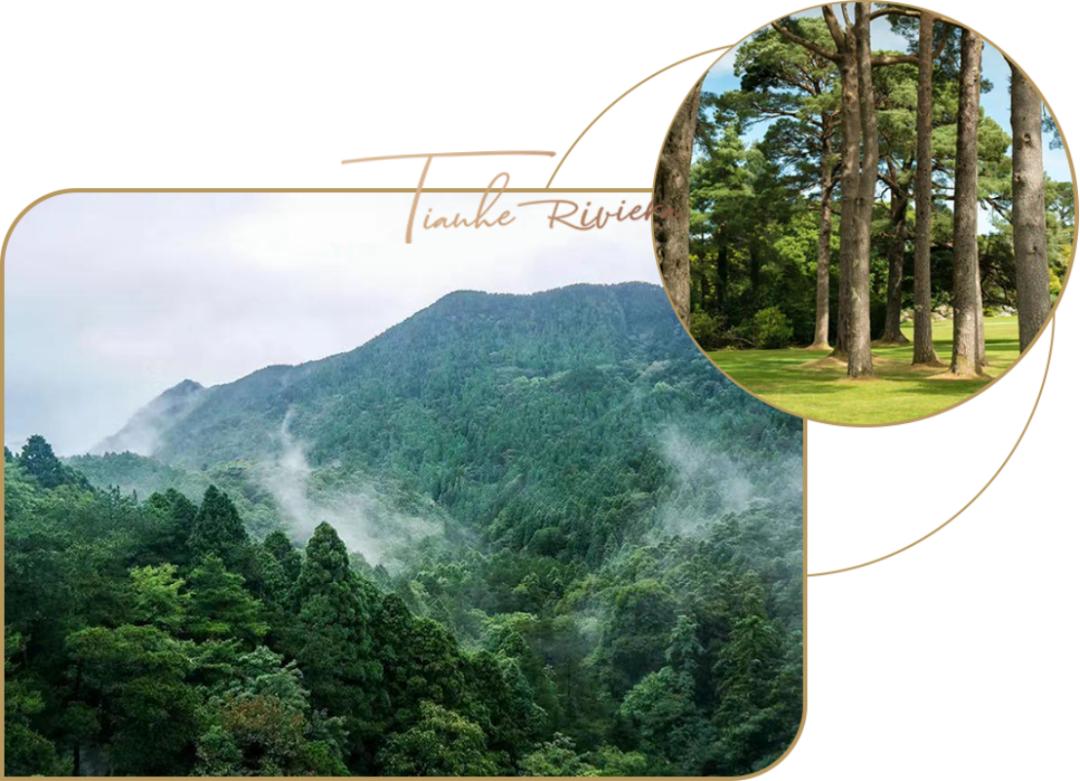 疯了吗？8.5万/平！1套33人抢！线上开盘，5秒售罄