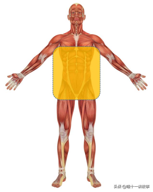 女生腿粗怎么快速解决,女生腿粗该怎么办