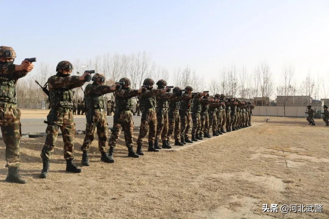 组织学习党的十九届五中精神,学习党的十九届六中全会简报