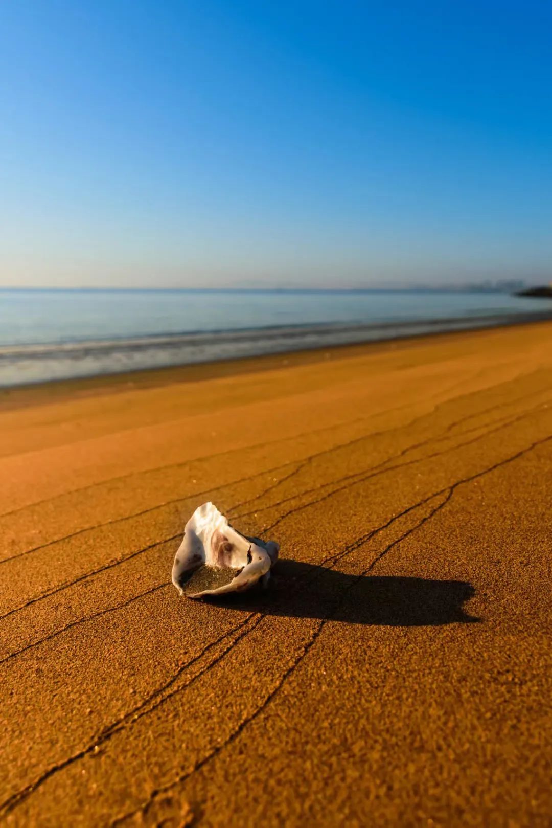 这50张图,就是你开海后要来一趟防城港的理由