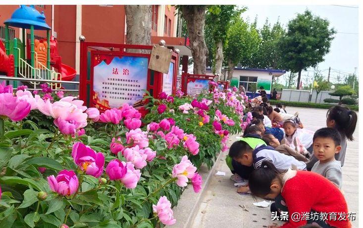 最新新闻周播报,新闻周播报完整版