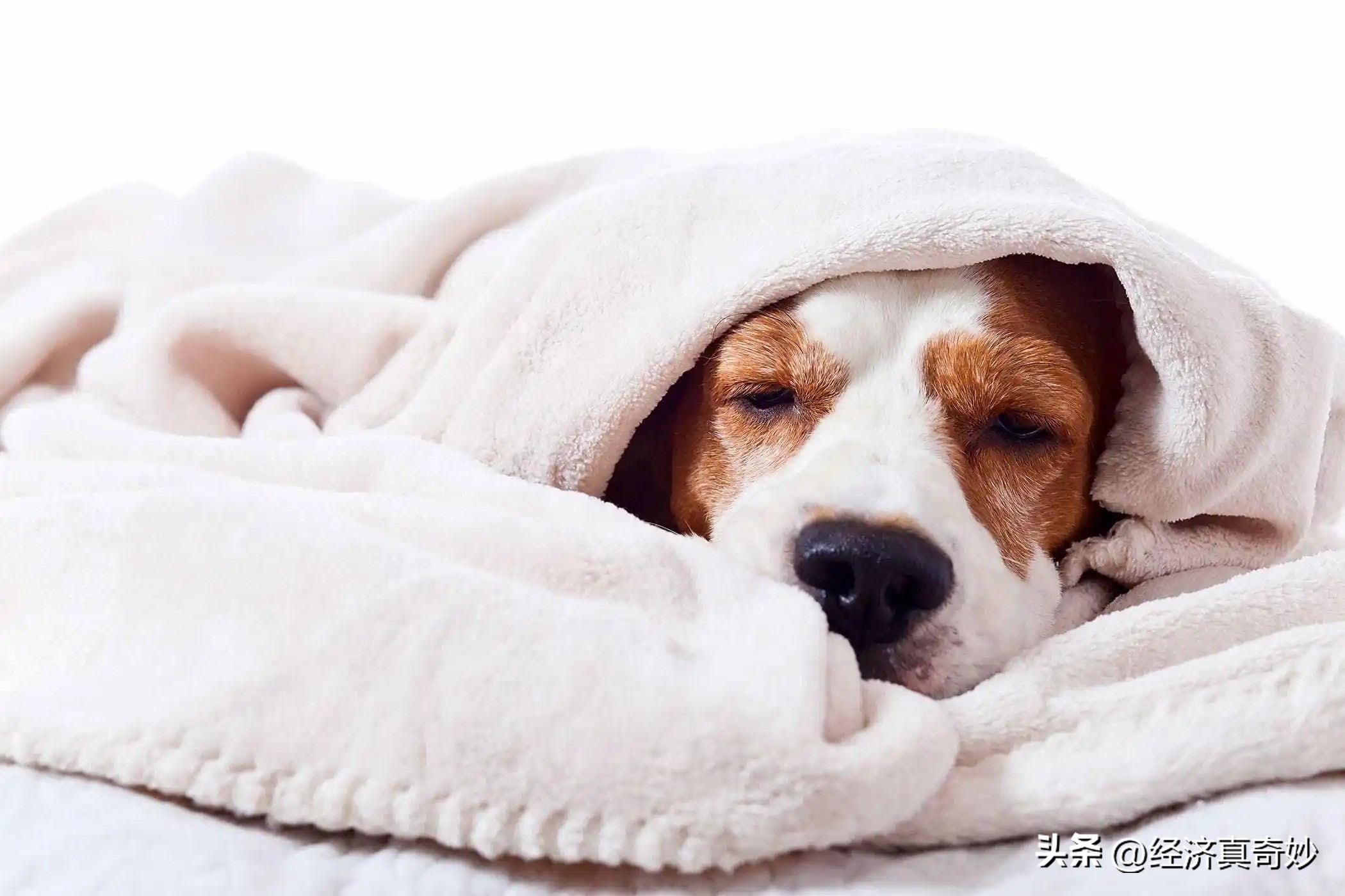 新冠发烧39.7是不是抵抗力弱,为什么之前新冠严重现在能自愈了