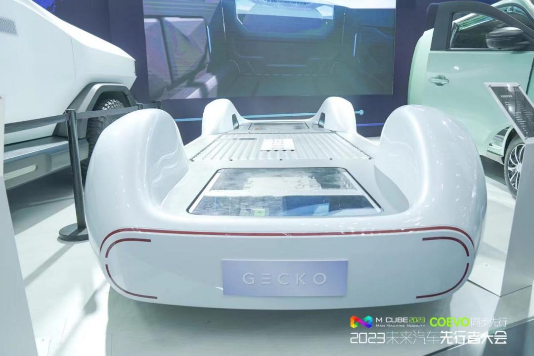 壁虎科技：热门赛道的冷静玩家