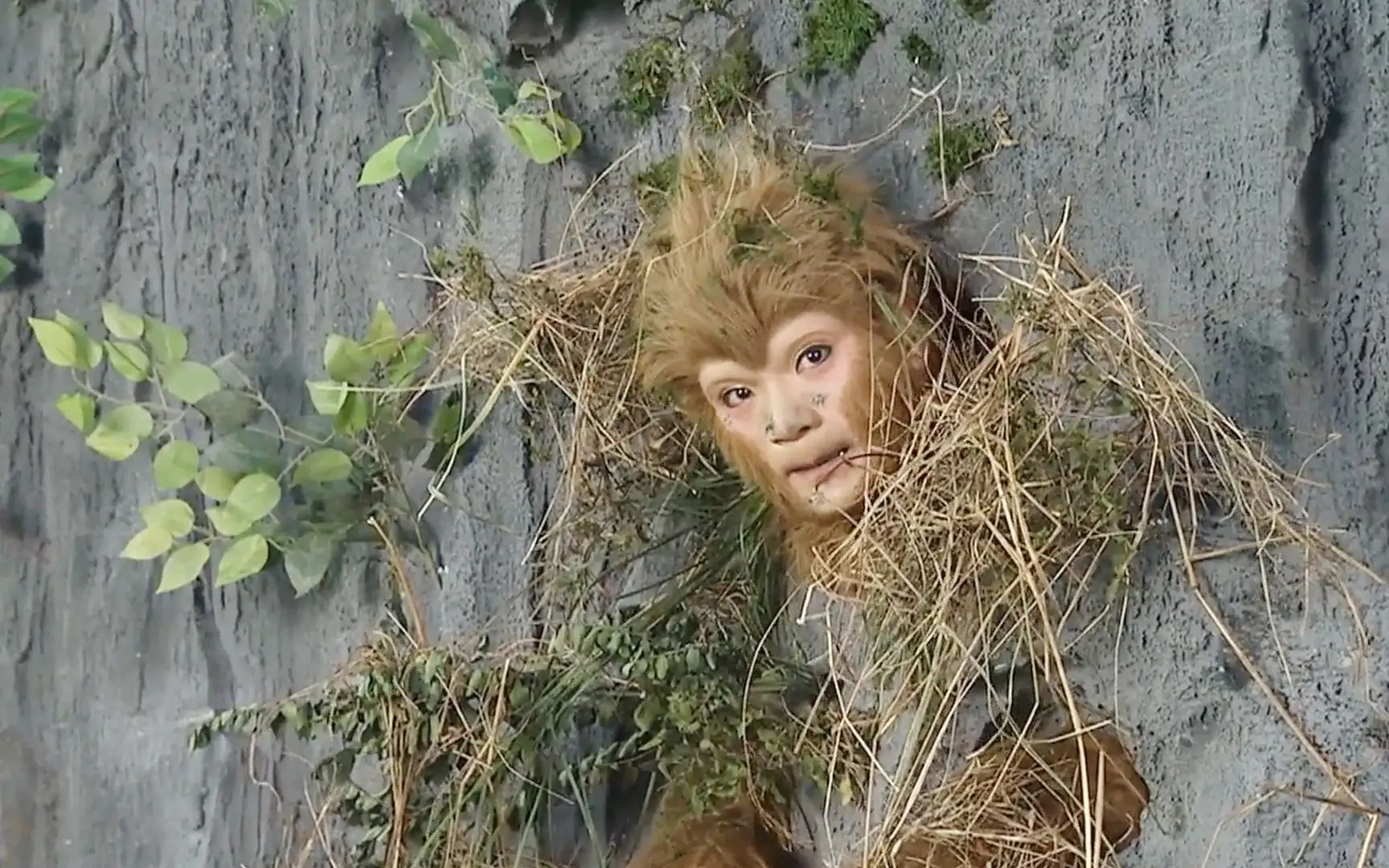 猪八戒和沙和尚的真实实力,猪八戒孙悟空和沙和尚谁最强