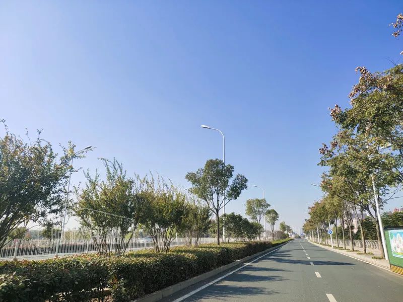 海口江东片区最新房价,地段好的房价越来越贵