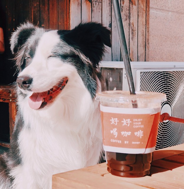 幽默小笑话100个搞笑,笑话搞笑小视频大全爆笑