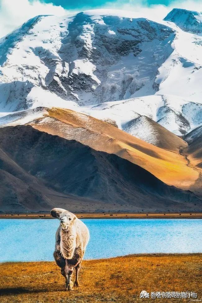 6天游南疆攻略,南疆旅游攻略七日游跟团