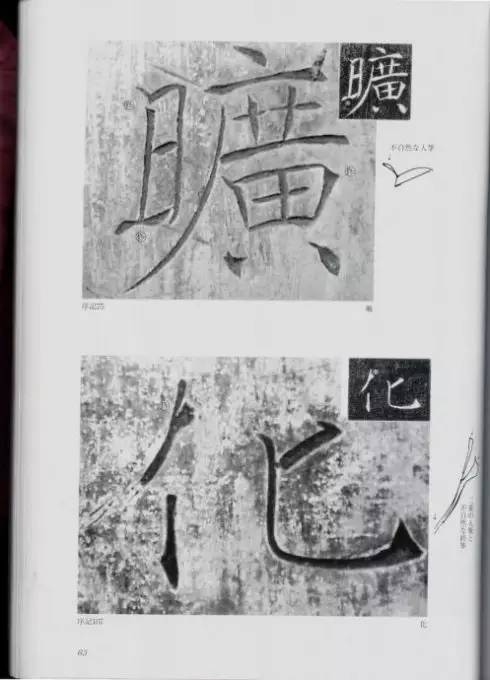 宸ョ瑪鐢绘潹鏅箟鐢诲唽,鏉滈箖鏉ㄦ櫘涔夊畬鏁寸増