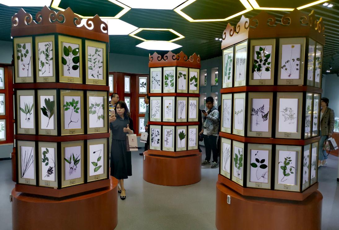 寒热错杂证中医治法怎么说,寒热错杂中医分析