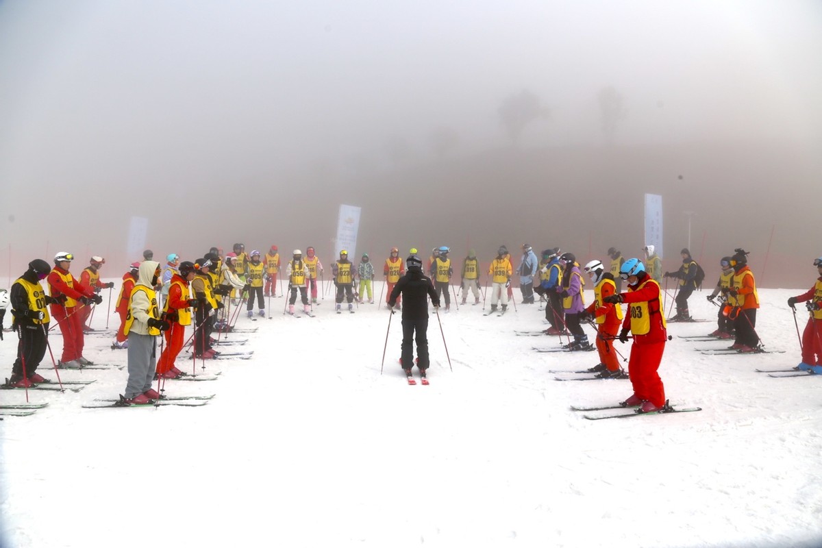 滑雪初级指导员国家职业资格,国家滑雪指导员资格证查询