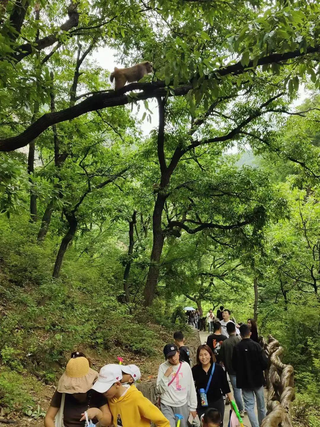 山西晋城蟒河自然风景保护区,青山绿水山西蟒河