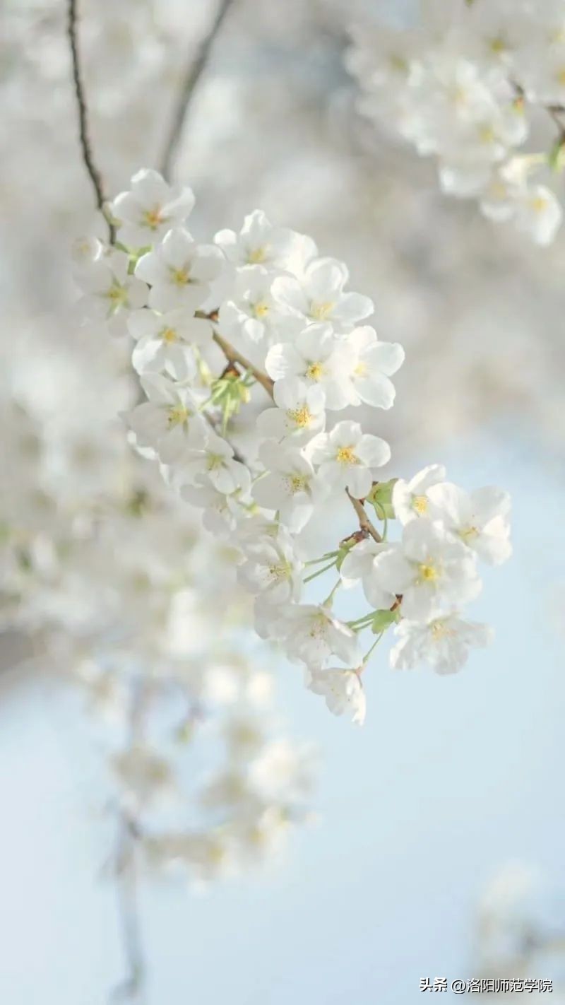 当洛师邂逅43种中国传统色……