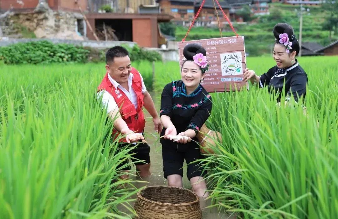 悬念揭晓在即,悬念揭晓视频