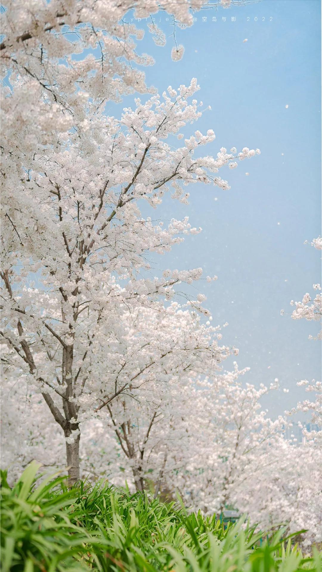 耐人寻味值得琢磨是什么成语,耐人寻味的成语故事