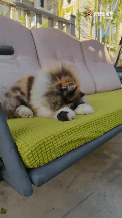 严查春节档电影互撕,春节档电影互撕