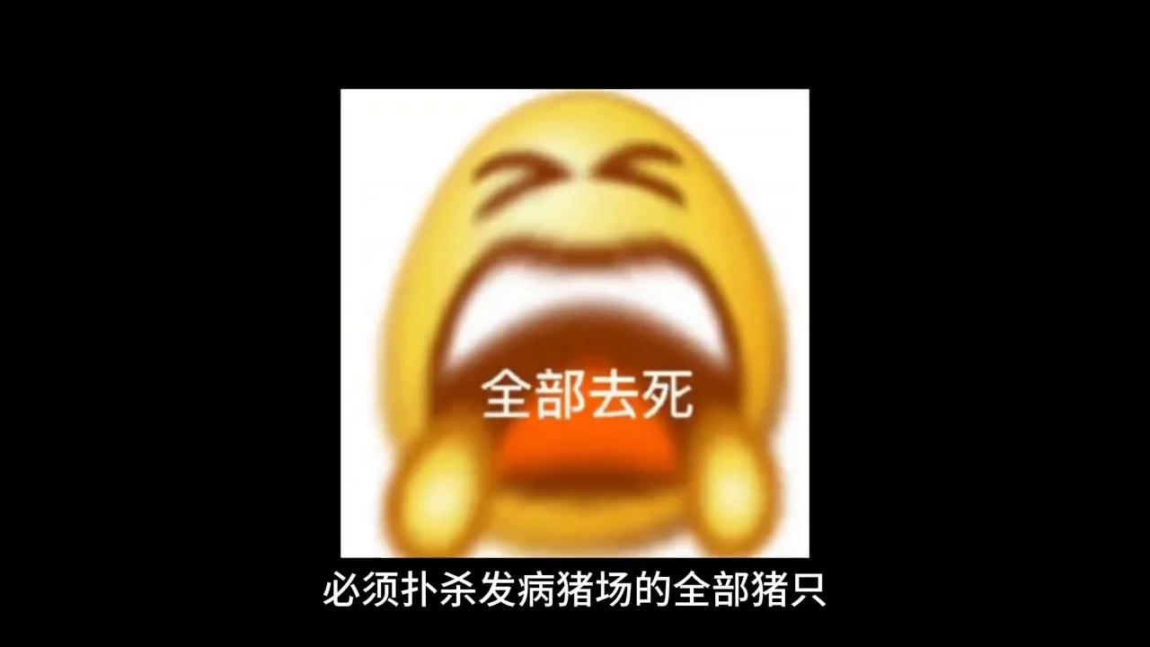 猪口蹄疫的最快治疗方法,猪呼吸道科普