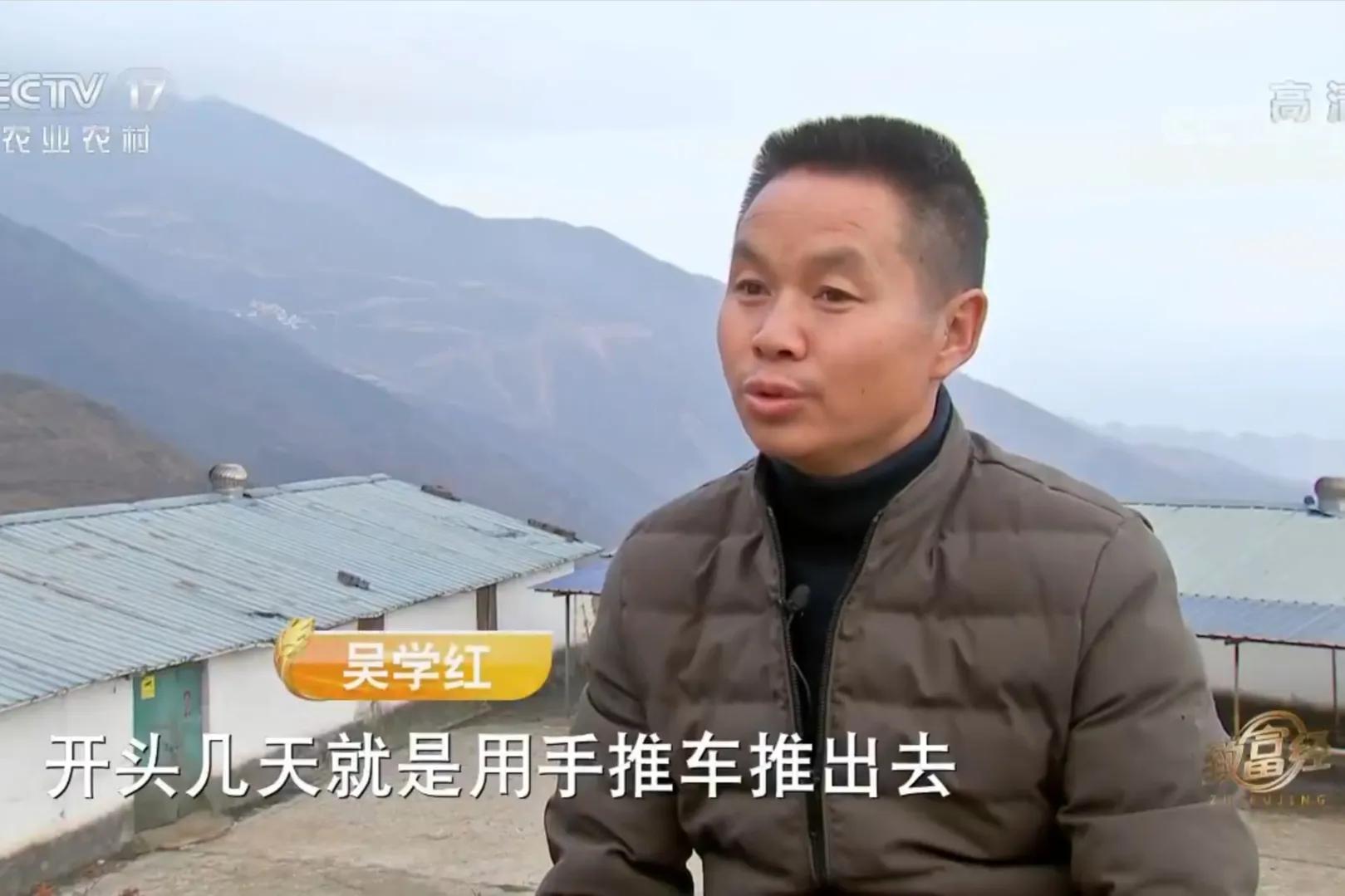 云南男子承包3000亩荒山，如今靠荒山实现梦想，年销售额700多万