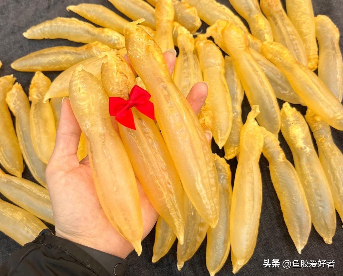 直播鱼胶攻略,直播间鱼胶推荐