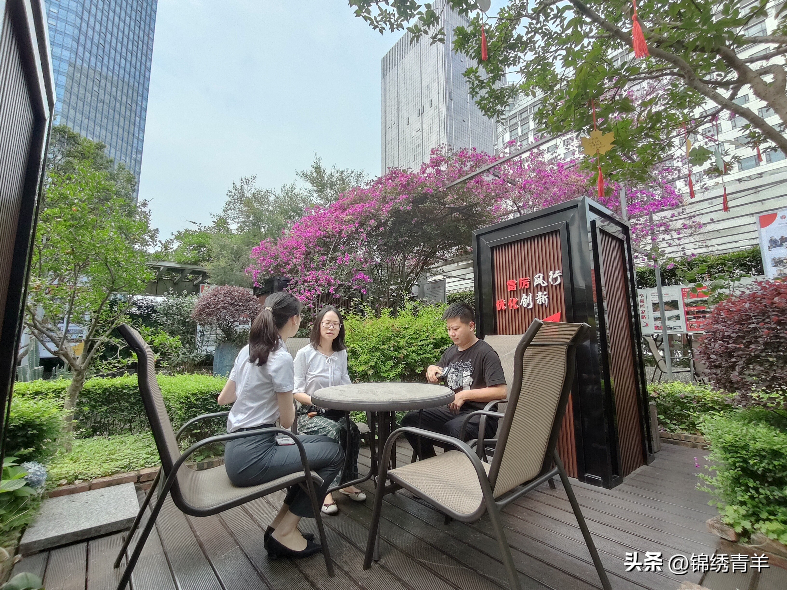 社企共种楼顶花园上班累了可以打场球