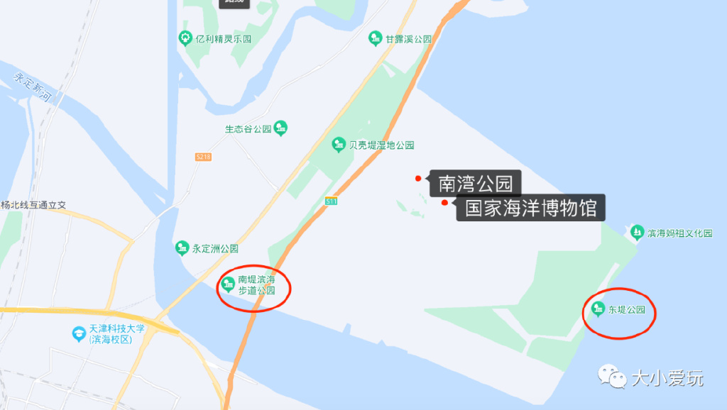 带娃赶海地点推荐去哪里,带孩子海边赶海3日游攻略