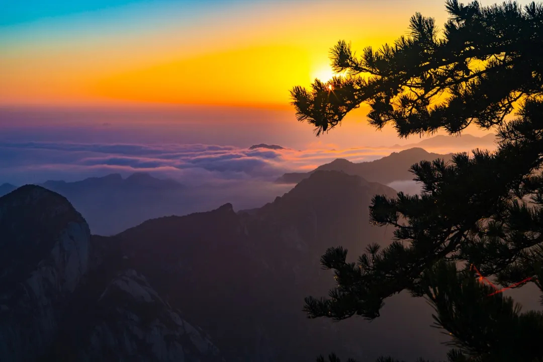 让你喜欢渭南市的理由,我为什么建议你来北上广深奋斗