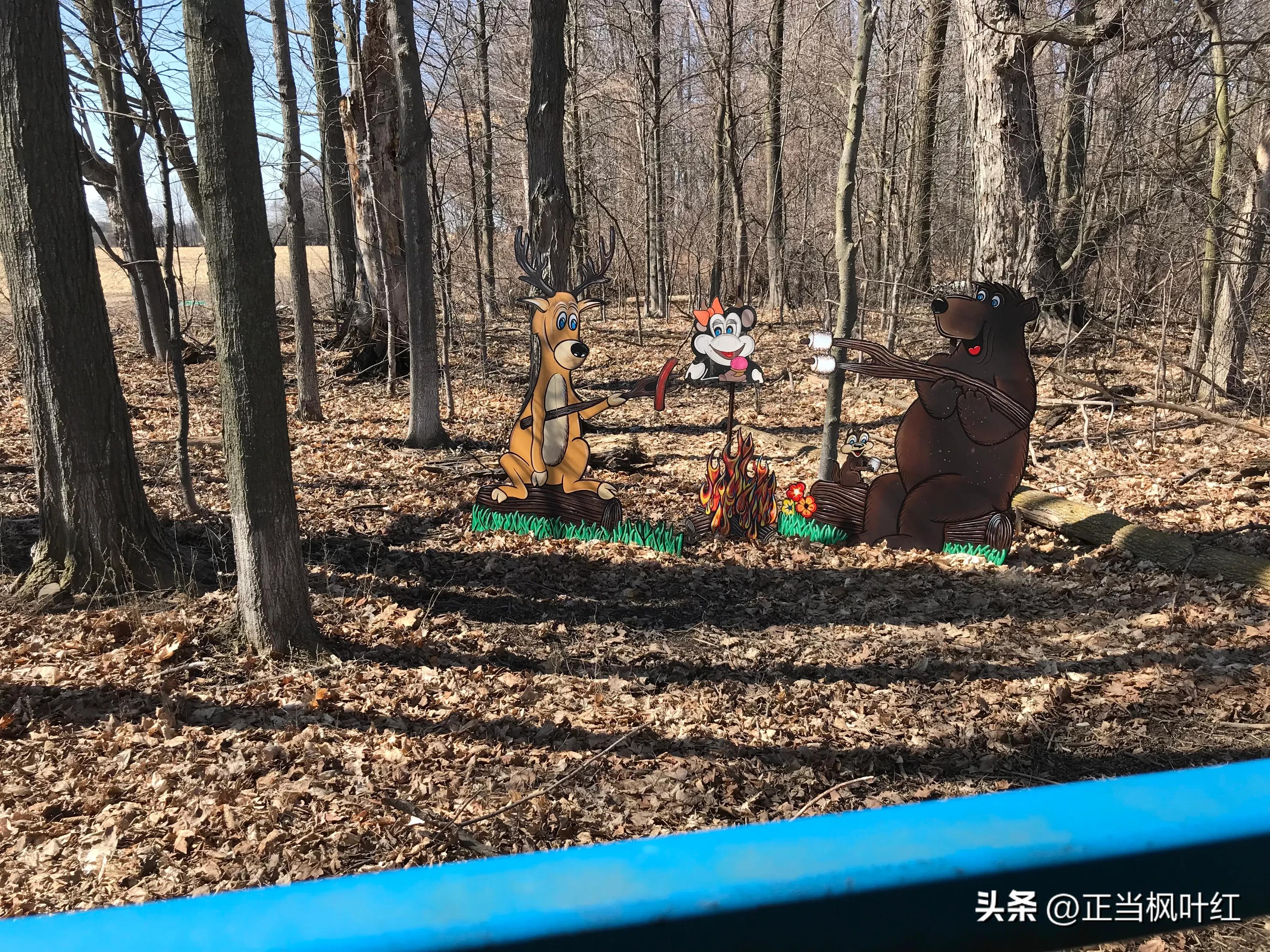 中国姥姥回国,中国姥姥真实一天视频