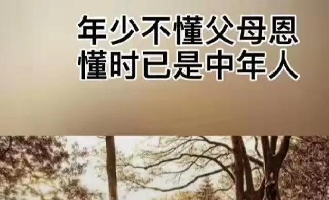 清明遥祭对天堂挥之不去的思念,清明遥祭天堂里的亲人