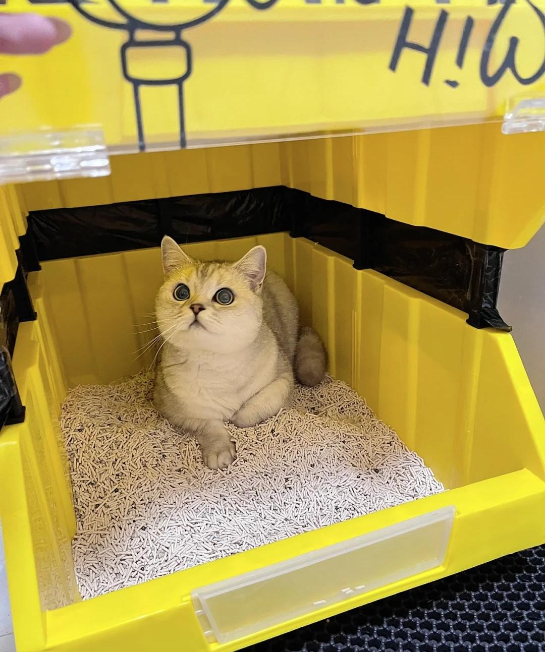 网购省钱的5个小绝招,网购学会这些省钱关键词