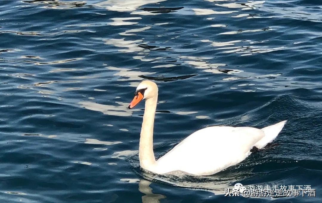 欧洲瑞士旅游线路,卢塞恩金色山口观光火车