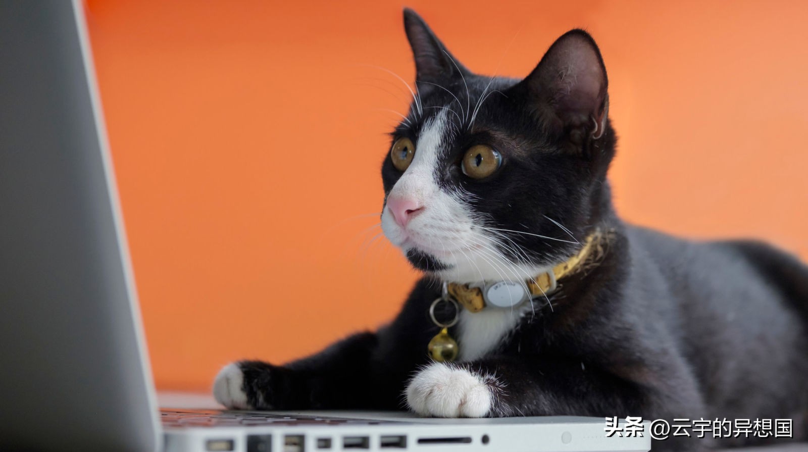 微信聊天三句话暴露你的层次,微信高情商聊天怎么才算老实